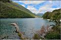 Sur la Milford Sound road. (3)