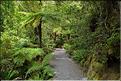 Au départ de la Milford Road, le chemin menant au lac Marian. (2)