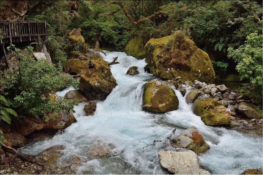 Au départ de la Milford Road, le chemin menant au lac Marian. (6)