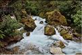 Au départ de la Milford Road, le chemin menant au lac Marian. (6)