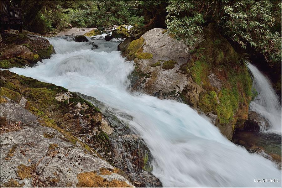 Au départ de la Milford Road, le chemin menant au lac Marian. (7)