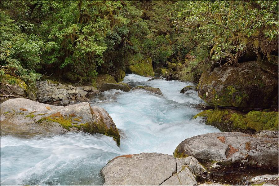 Au départ de la Milford Road, le chemin menant au lac Marian. (8)