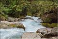 Au départ de la Milford Road, le chemin menant au lac Marian. (8)