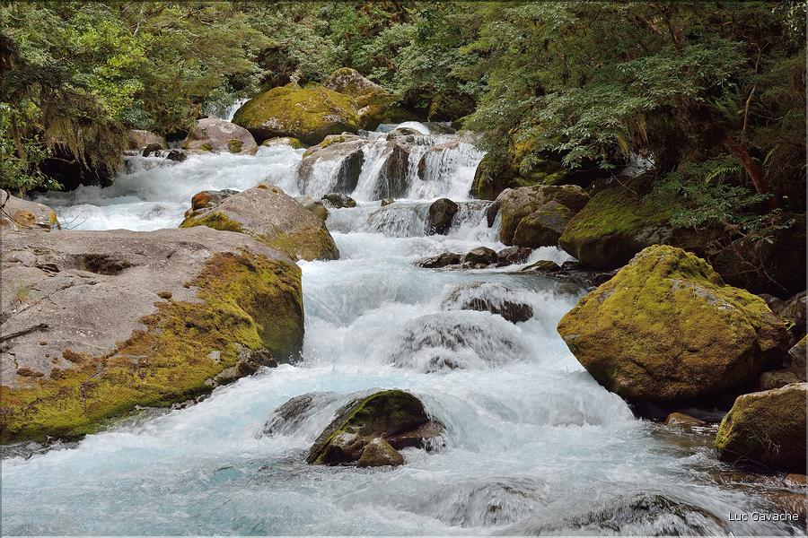 Au départ de la Milford Road, le chemin menant au lac Marian. (9)