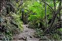 Au départ de la Milford Road, le chemin menant au lac Marian. (10)