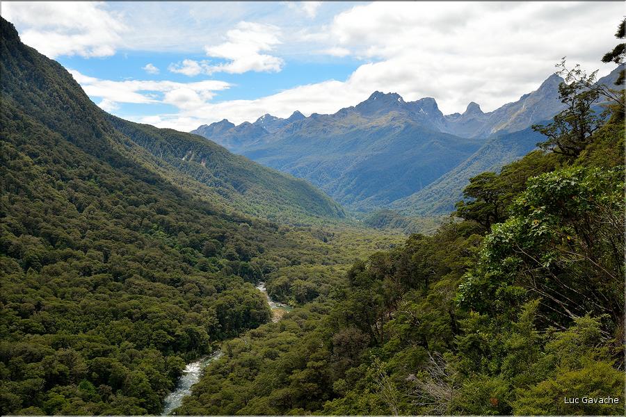 Sur la Milford Sound road. (1)