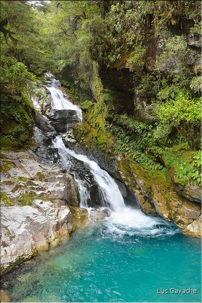 Sur la Milford Sound road. (4)
