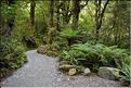 De la Milford Sound road, vers les chutes d'eau the chasm. (9)