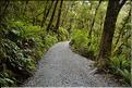De la Milford Sound road, vers les chutes d'eau the chasm. (12)