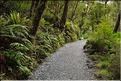 De la Milford Sound road, vers les chutes d'eau the chasm. (13)