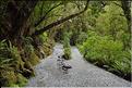 De la Milford Sound road, vers les chutes d'eau the chasm. (17)