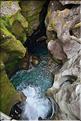 De la Milford Sound road, vers les chutes d'eau the chasm. (18)