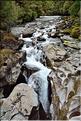 De la Milford Sound road, vers les chutes d'eau the chasm. (19)