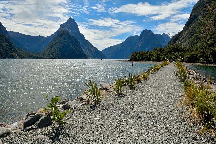Le fjord de Milford Sound. (7)