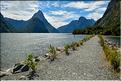 Le fjord de Milford Sound. (7)