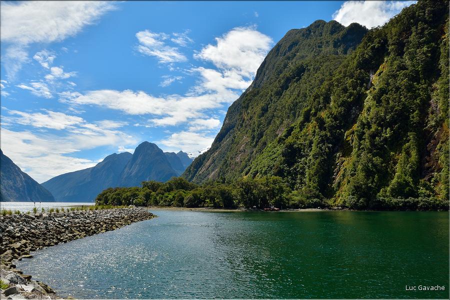 Le fjord de Milford Sound. (8)