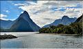 Le fjord de Milford Sound. (10)