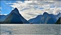Le fjord de Milford Sound. (11)