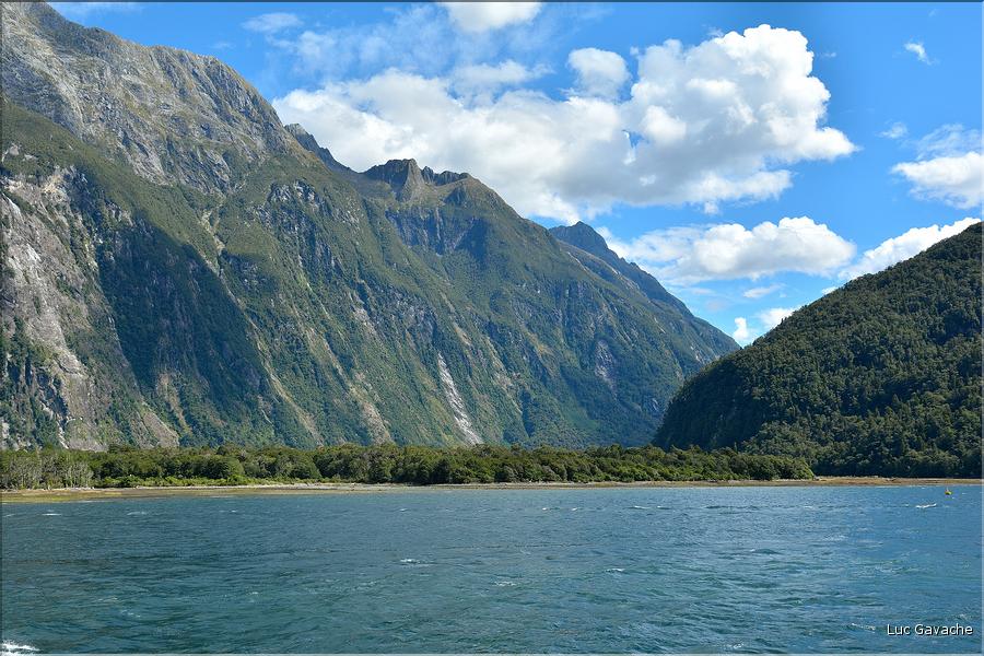 Le fjord de Milford Sound. (12)