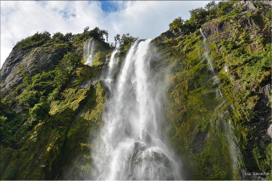Le fjord de Milford Sound. (24)