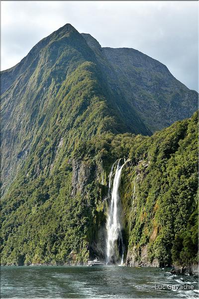Le fjord de Milford Sound. (27)