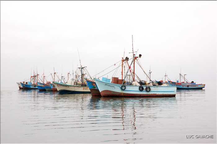 1 Sur la côte Pacifique, au Sud de Lima, se trouve le petit port de pêche de Paracas (1)