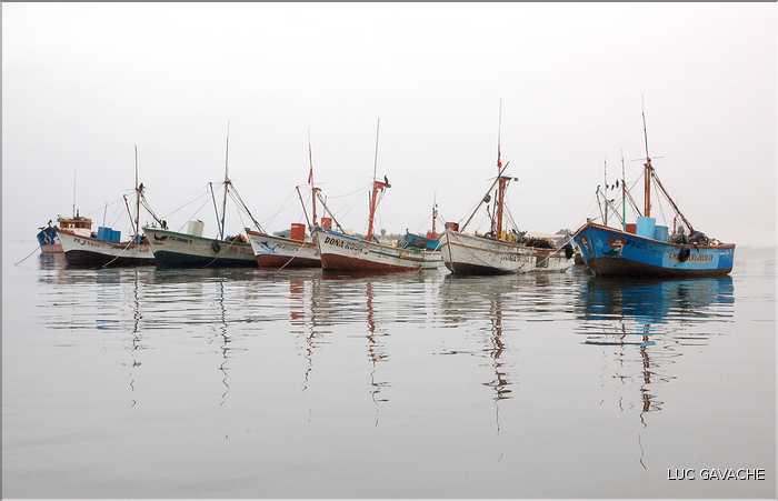 1 Sur la côte Pacifique, au Sud de Lima, se trouve le petit port de pêche de Paracas (2)
