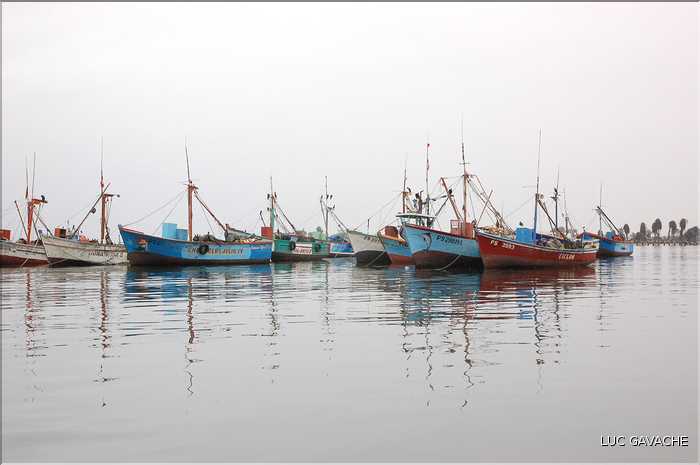 1 Sur la côte Pacifique, au Sud de Lima, se trouve le petit port de pêche de Paracas (3)