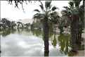 11 Oasis de Huacachina dans le desert situé à l'Est de Ica (5)