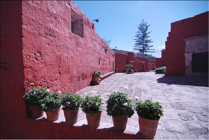 23 Le magnifique monastère Santa Catalina fut fondé en 1580, Aréquipa (29)