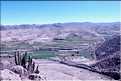 27 Vallée cultivée, située au Nord d'Aréquipa, sur la route du canyon de Colca (3)