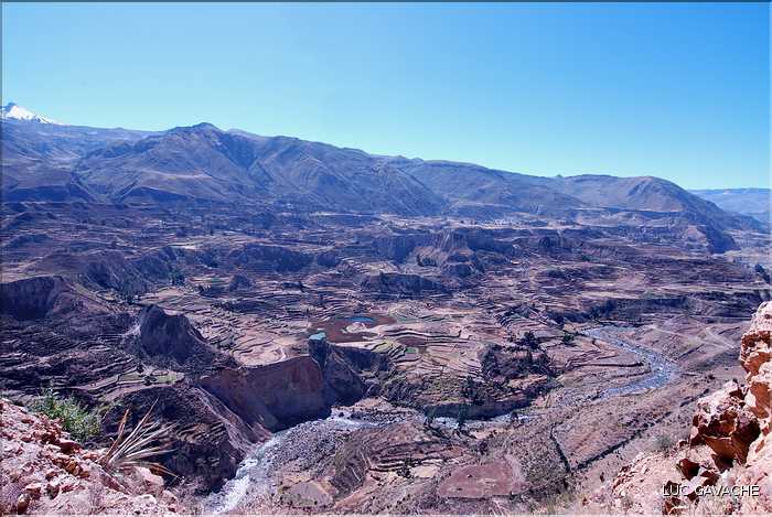 30 Les environs du village de Madrigal, Canyon de Colca (19)
