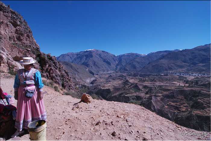 41 Cultures en terrasses dans les environs du village de Madrigal, Canyon de Colca (7)