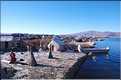 48 Sur le lac Titicaca,  au milieu des roseaux, se trouvent les îles flottantes des Indiens Uros  (14)