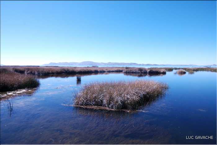 53 Après les roseaux, les eaux libres du lac Titicaca commence (2)