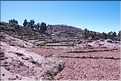 55 A trois heures de Puno, au coeur du lac Titicaca  se trouve l'ile de Taquile  (9)