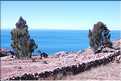 55 A trois heures de Puno, au coeur du lac Titicaca  se trouve l'ile de Taquile  (10)
