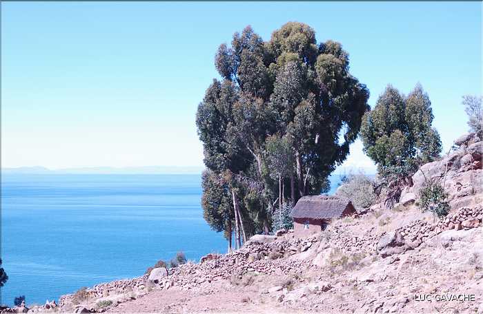 55 A trois heures de Puno, au coeur du lac Titicaca  se trouve l'ile de Taquile  (13)
