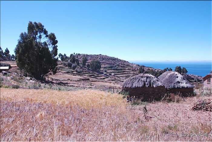 55 A trois heures de Puno, au coeur du lac Titicaca  se trouve l'ile de Taquile  (15)