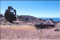 55 A trois heures de Puno, au coeur du lac Titicaca  se trouve l'ile de Taquile  (15)