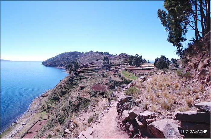 55 A trois heures de Puno, au coeur du lac Titicaca  se trouve l'ile de Taquile  (16)