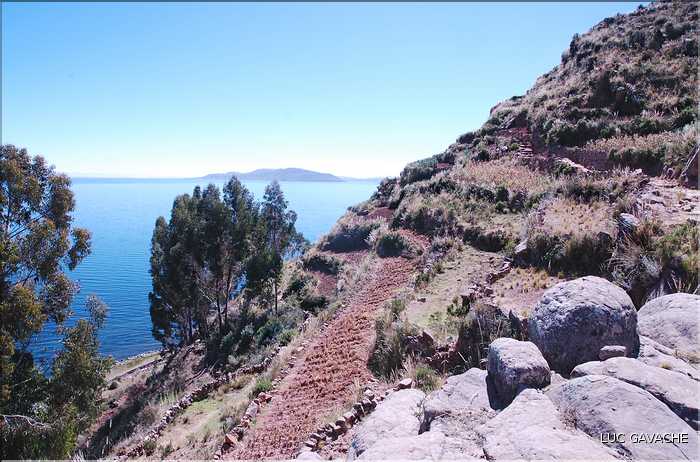 55 A trois heures de Puno, au coeur du lac Titicaca  se trouve l'ile de Taquile  (18)
