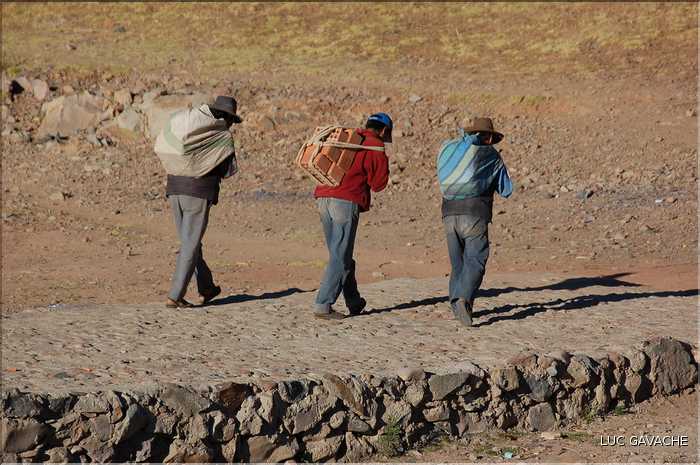 61 Sur l'île d'Amantani  les routes n'existent pas, toutes les marchandises sont  donc transportées à dos d'hommes  (2)