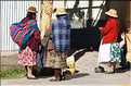 68 Habitants de la ville de Puno en costume traditionnel (1)