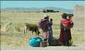 68 Habitants de la ville de Puno en costume traditionnel (7)