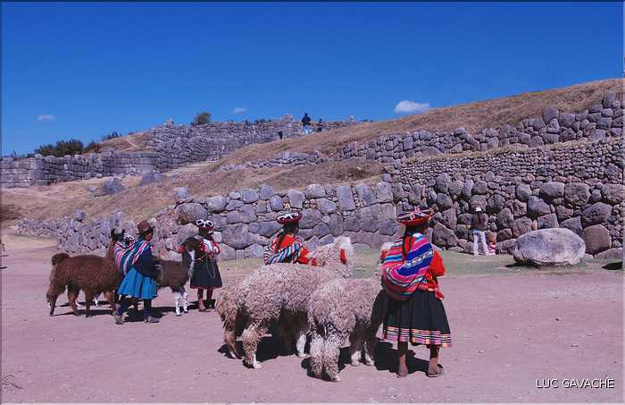 76 Bergères et leurs alpagas, dans le site Inca de  Saqsayhuaman (3)