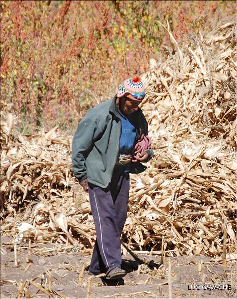 90 Village et habitants de Pisac, au début de la vallée sacrée des Inca (3)