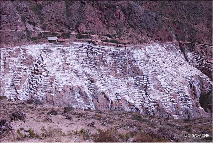 92 Les Salines de Maras, qui étaient exploitées avant même l'arrivé des Inca, compte près de 4.000 bassins (3)
