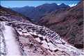 92 Les Salines de Maras, qui étaient exploitées avant même l'arrivé des Inca, compte près de 4.000 bassins (39)
