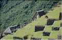 98 Le quartier des agriculteurs et les cultures en terrasse se situe à l'entrée du site du Machu Picchu  (9)